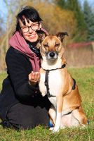 Die fröhliche Amy sucht erfahrene liebvolle Menscheneltern Brandenburg - Wittstock/Dosse Vorschau