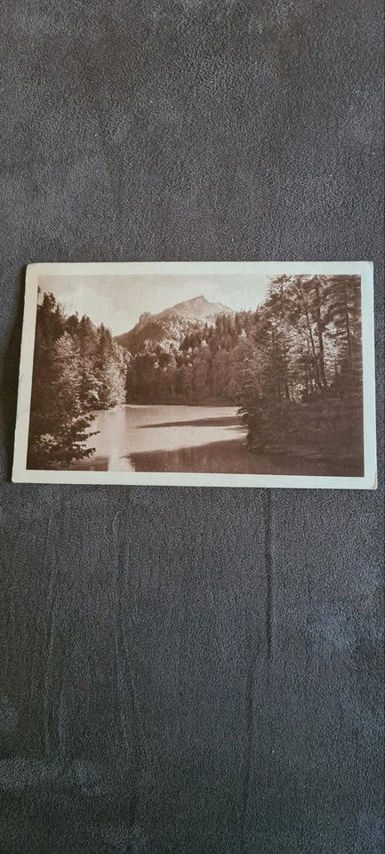 Antike Postkarte Staufensee in Berlin