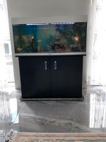Aquarium 180 liter Rheinland-Pfalz - Neuwied Vorschau