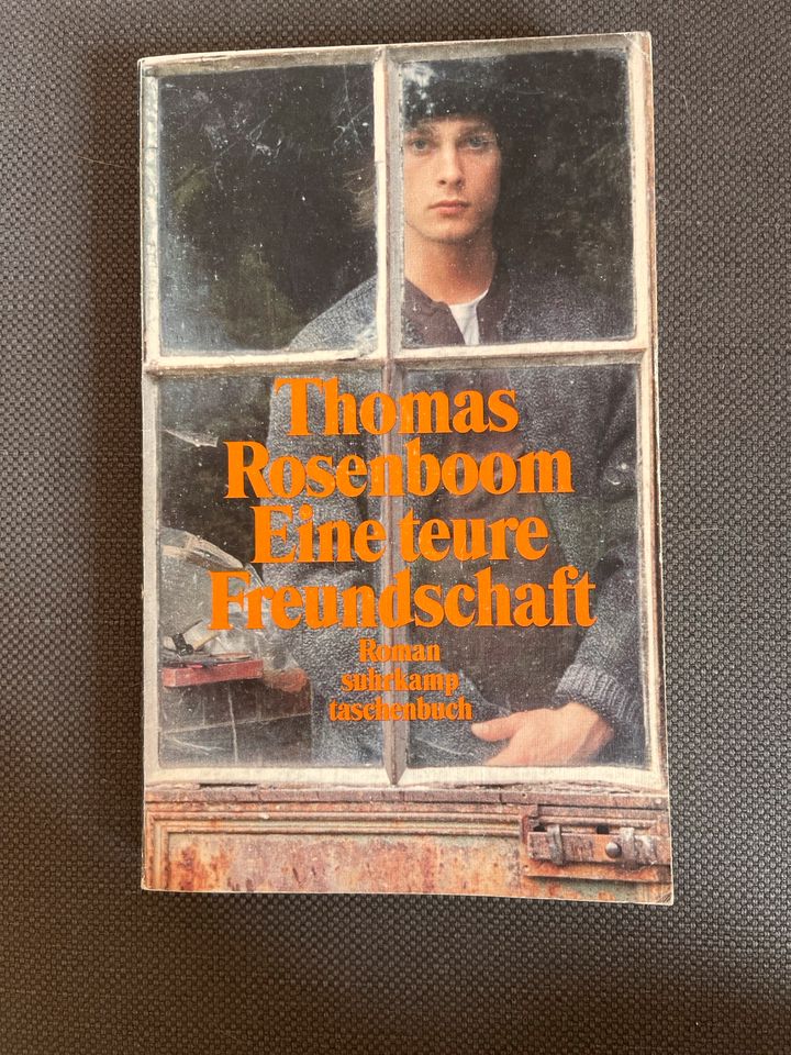 Buch Roman Eine teure Freundschaft Thomas Rosenboom in Berlin