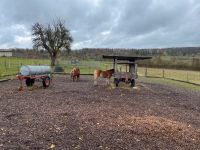 Paddockbox (nachts) / kleine Herde (tagsüber) in Vollpension Baden-Württemberg - Rutesheim   Vorschau