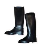 Verkaufe Reitstiefel / Schwarz Gr.:37 Zustand Neuwertig Thüringen - Veilsdorf Vorschau