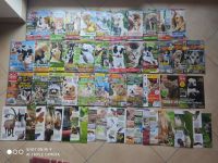 Ein Herz für Tiere 32 Zeitschriften Poster Nordrhein-Westfalen - Hennef (Sieg) Vorschau