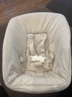 Stokke Tripptrapp newborn Babysitz Nordrhein-Westfalen - Bocholt Vorschau