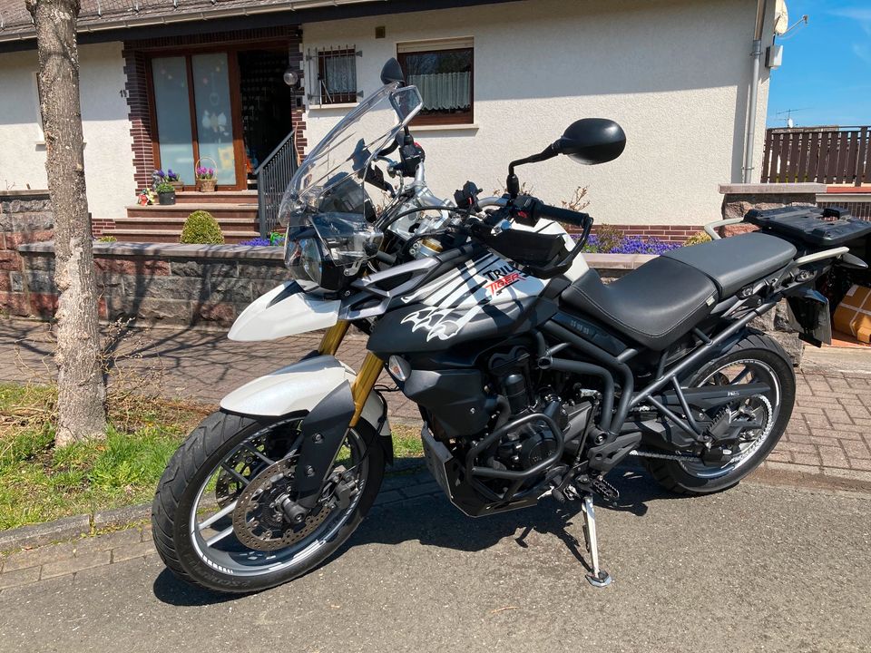 Triumph TRIUMPH TIGER 800 ABS, Tieferleg., topp Zustand in Mittenaar