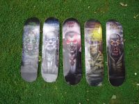 Plan B Skateboard Serie Monster Danny Way Ryan Sheckler 5 Boards Schleswig-Holstein - Boostedt Vorschau