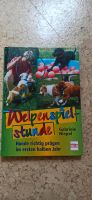 Welpenspielstunde Hundetrainer hundeschule Gabriele niepel Nordrhein-Westfalen - Hiddenhausen Vorschau