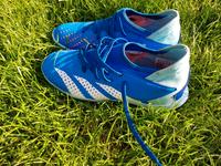 Adidas Predator Accuracy.3 Gr. 38 2/3 Tausendfüßler/Multinocken Rheinland-Pfalz - Frankenthal (Pfalz) Vorschau