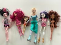 Barbie Monster High Elsa Enchantimals Brandenburg - Potsdam Vorschau