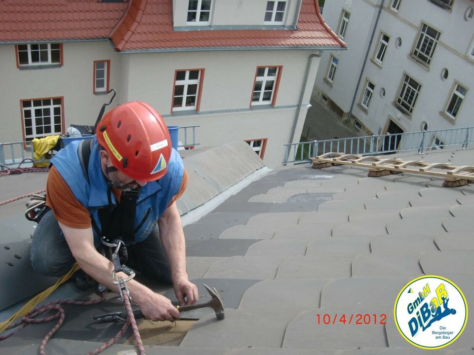 Fassadenreparatur mit Seilsicherung, Dresden, Radebeul, Freital in Dresden