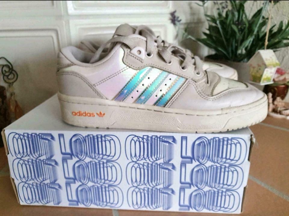 ❤Lieblingsschuh❤ adidas Rivalry Low in Hodenhagen