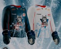 SUCHE Huskie Trikot XXL Hessen - Baunatal Vorschau