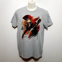 Assassins Creed T-Shirt Tshirt Shirt Sommershirt grau Gr. M - L Hessen - Laubach Vorschau