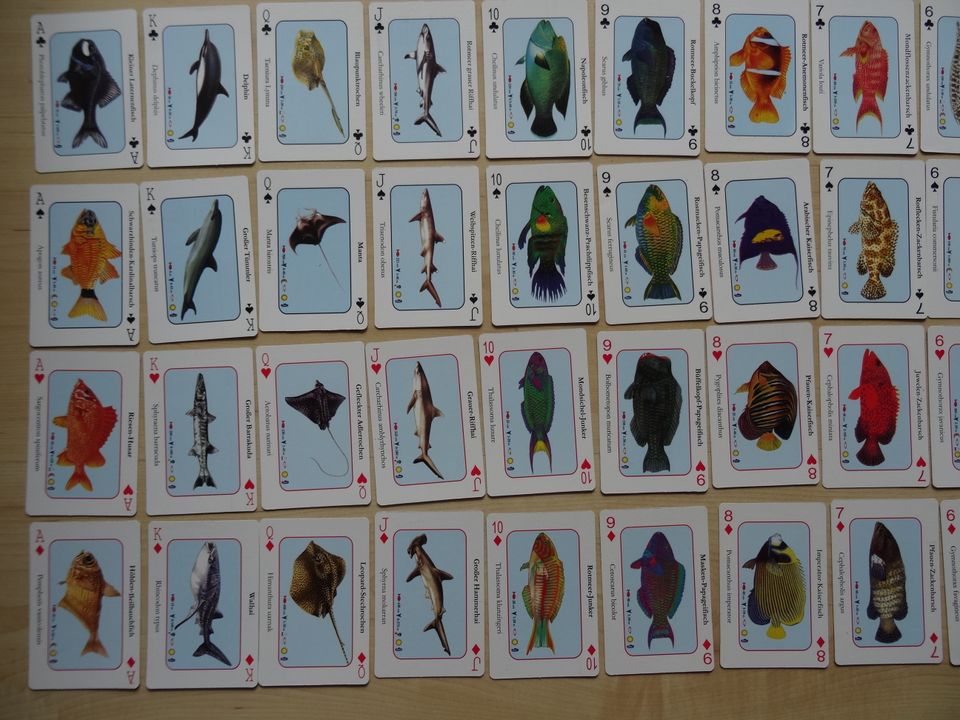 Spielkarten Kartenspiel Rotes Meer NEU in Ostfildern
