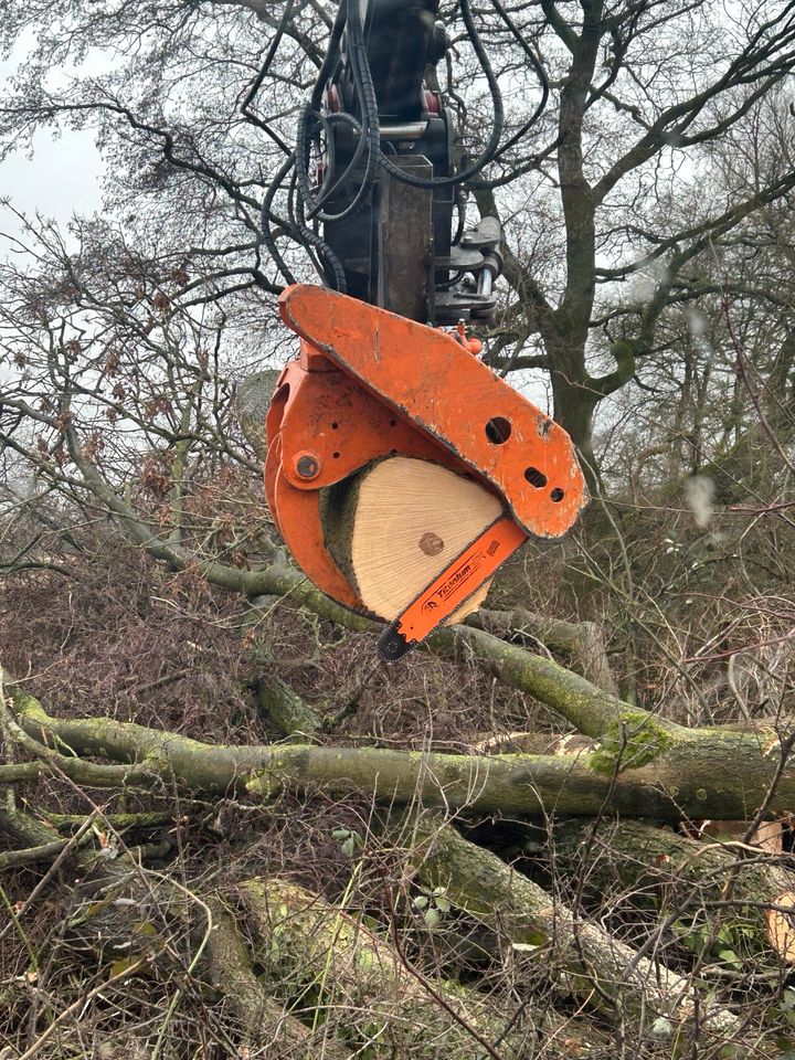 Axer Greifersäge(kein Woodcracker,Vosch)Fällgreifer in Roxel