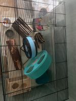 Hamster Käfig mit viel Zubehör Niedersachsen - Königslutter am Elm Vorschau