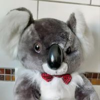 XXL Bastitoy Koala sucht neues Zuhause selten Baden-Württemberg - Geisingen Vorschau