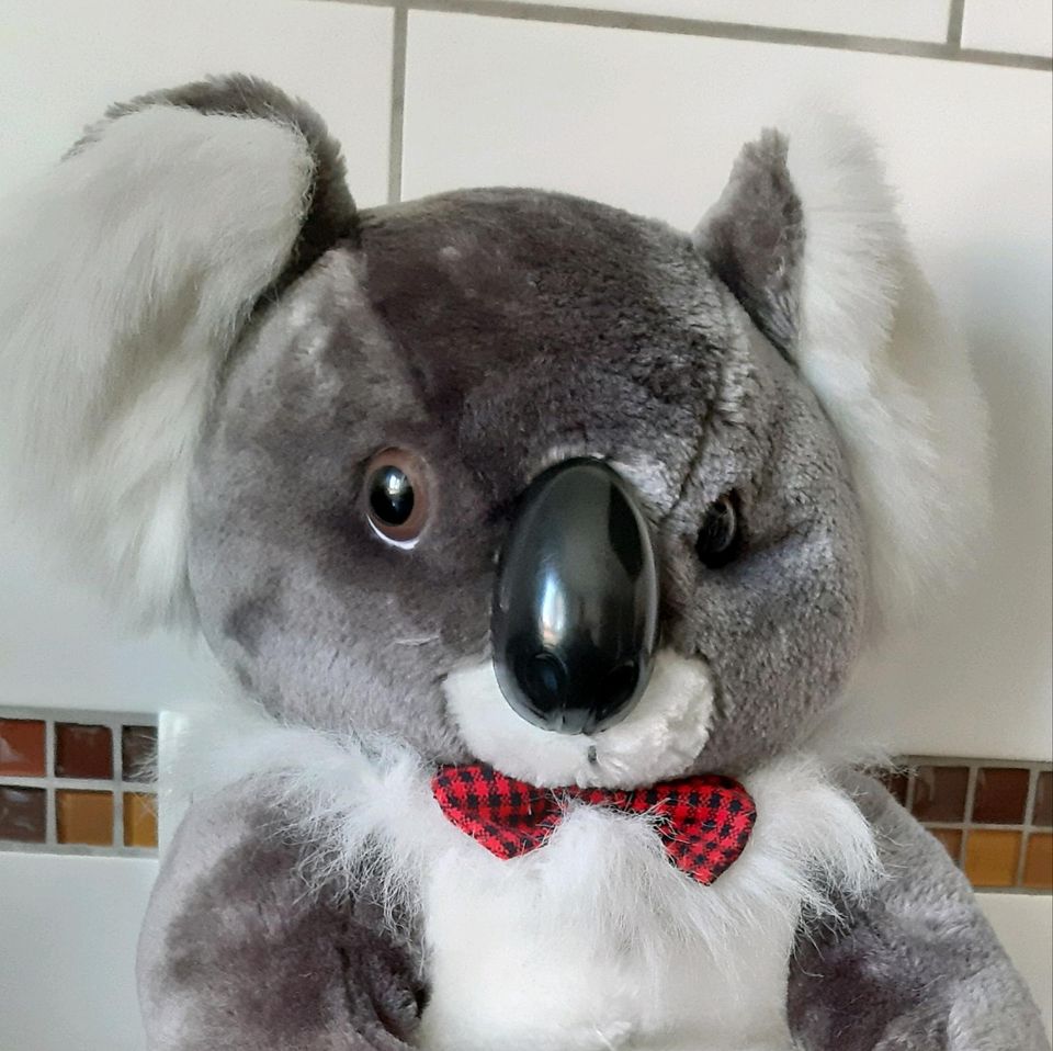 XXL Bastitoy Koala sucht neues Zuhause selten in Geisingen