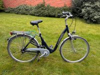 Pegasus Fahrrad für Damen und Herren Hemelingen - Arbergen Vorschau