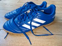 Adidas Copa Royal Blue Cloud White Royal Blue Grösse 38 Niedersachsen - Grasleben Vorschau