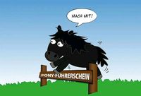 Der Pony Führerschein "Das Original" Niedersachsen - Martfeld Vorschau