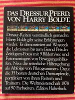 Das Dressurpferd von Harry Boldt - Dressur Reiten Hessen - Rosbach (v d Höhe) Vorschau