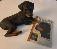 Statur Rottweiler mit Buch NEU Berlin - Spandau Vorschau