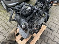 VW Golf Touran 1,4 TSI BMY Motor Triebwerk Engine Nordrhein-Westfalen - Dorsten Vorschau