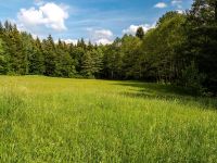 Wald- oder Wiesengrundstück gesucht Bayern - Holzkirchen Vorschau