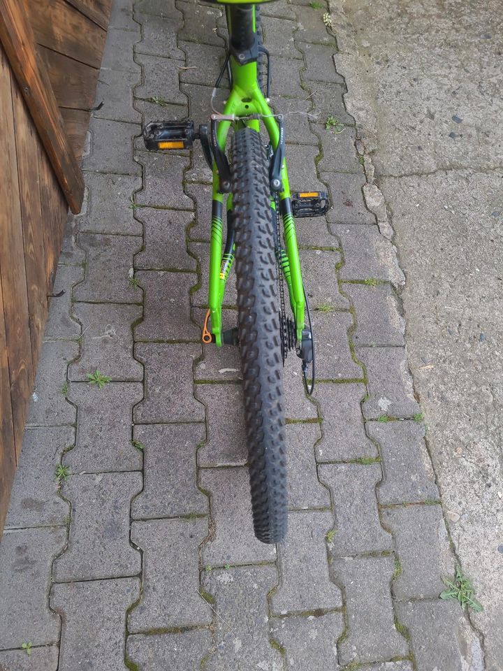 Mountainbike bergamont roxtar 2.0 in Friedberg (Hessen)