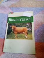 Rinderrassen Schleswig-Holstein - Mittelangeln Vorschau