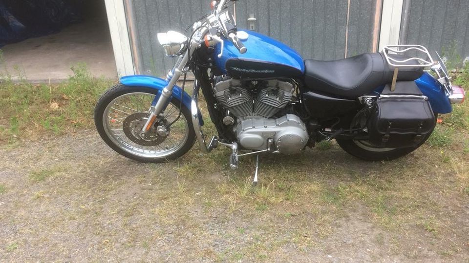 Harley Davidson Sportster XL883C 5HD in Budenheim