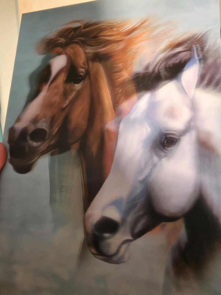 3D Wandbild Bild Pferde 24 x 34 cm in Ascheberg