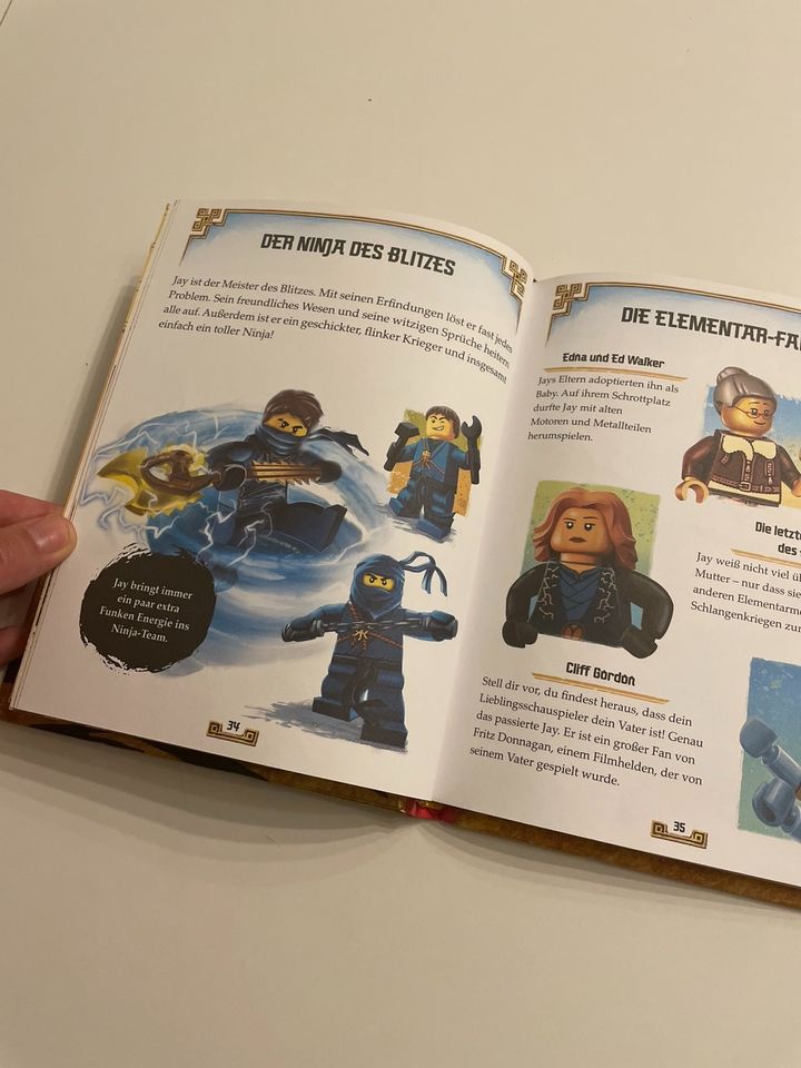 Kinderbuch Ninjago - Das Buch der Elemente in Ettlingen