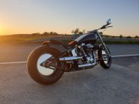 Harley-Davidson Heritage Softail Sachsen - Thalheim/Erzgebirge Vorschau