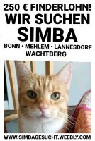 Kater gesucht und schmerzlich vermisst • Katze rot entlaufen Bad Godesberg - Mehlem Vorschau