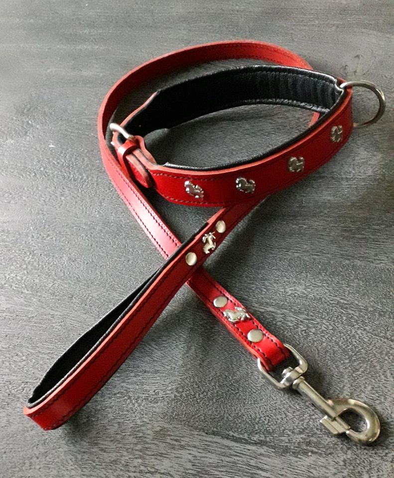 Außergewöhnliches Set Halsband u. Leine Leder rot / schw. Pferde in Meine