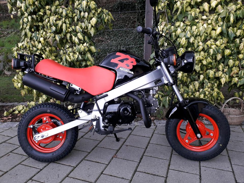 Honda ZB50 neuwertig Monkey Dax Camper Wohnmobil in Rimbach Oberfp