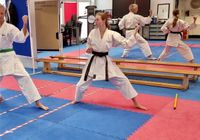 Karate Einzeltraining, Vorbereitung Dan Prüfung, Shotokan Baden-Württemberg - Sasbach Vorschau