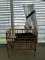 Fillikid Nino Baby Bett Beistellbett Nestchen Mobile Himmel Set Baden-Württemberg - Meckesheim Vorschau