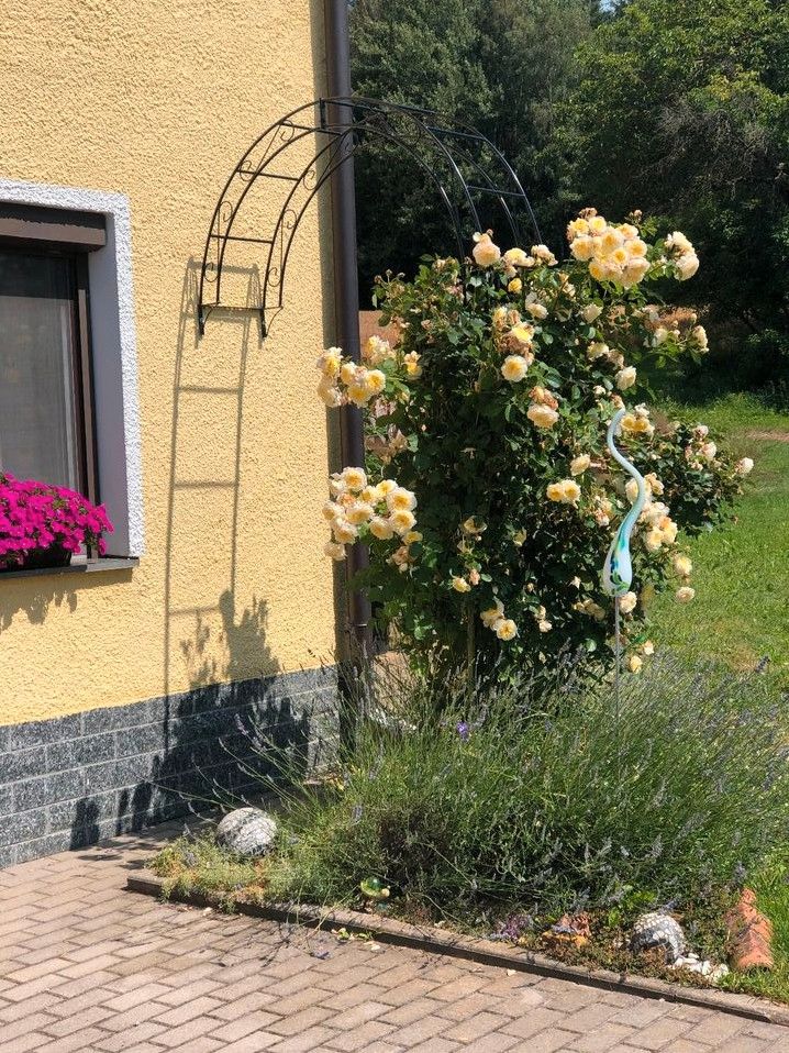 Wandrosenbogen Pergola Holland Rund Halb Bogen Wand Rosenbögen in Görlitz