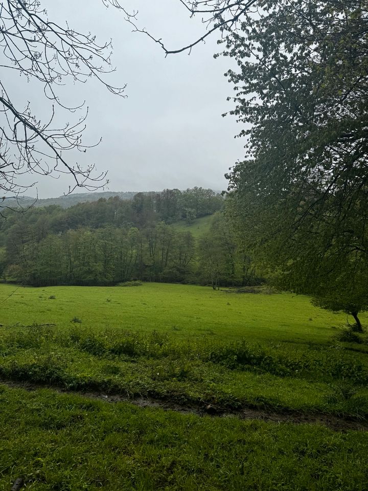 Grundstück Odenwald zu verpachten (2 nebeneinander liegende) in Bensheim