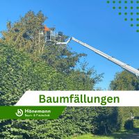 DIENSTLEISTUNG: Baum fällen, Baum schneiden, Baumwurzel entfernen Nordrhein-Westfalen - Stemwede Vorschau