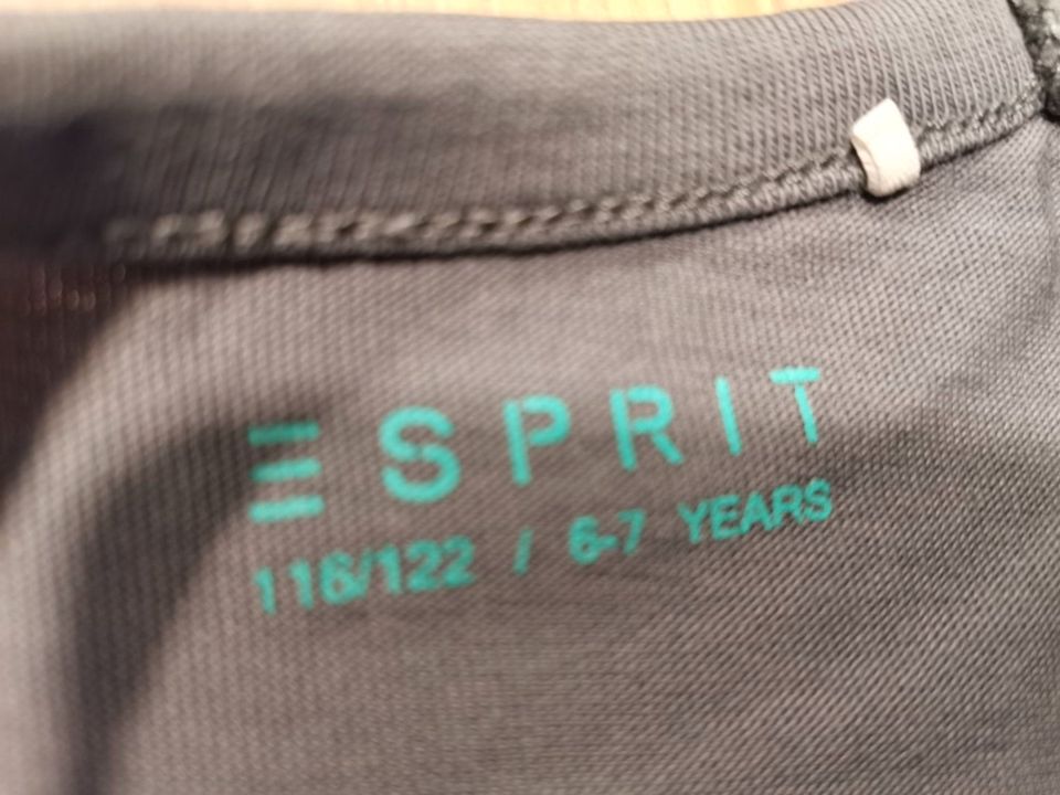 T-Shirt Esprit Jungen 116/122, 2 Stück grün/grau - TOP in Kirchdorf a. Inn