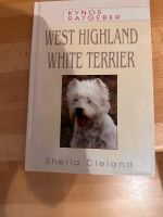 West Highland White Terrier, Buch! Niedersachsen - Oldenburg Vorschau