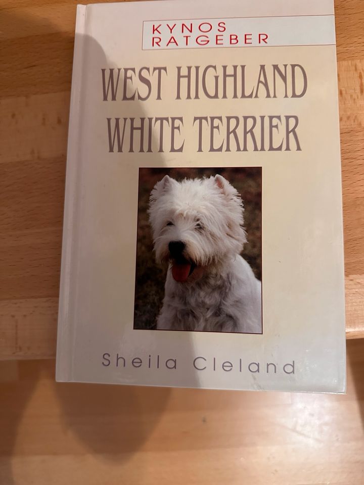 West Highland White Terrier, Buch! in Oldenburg