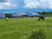 Platz für Hengstabsetzer Niedersachsen - Staffhorst Vorschau