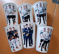 DFB Fußball Trinkbecher 2016 Mecklenburg-Vorpommern - Strasburg  Vorschau