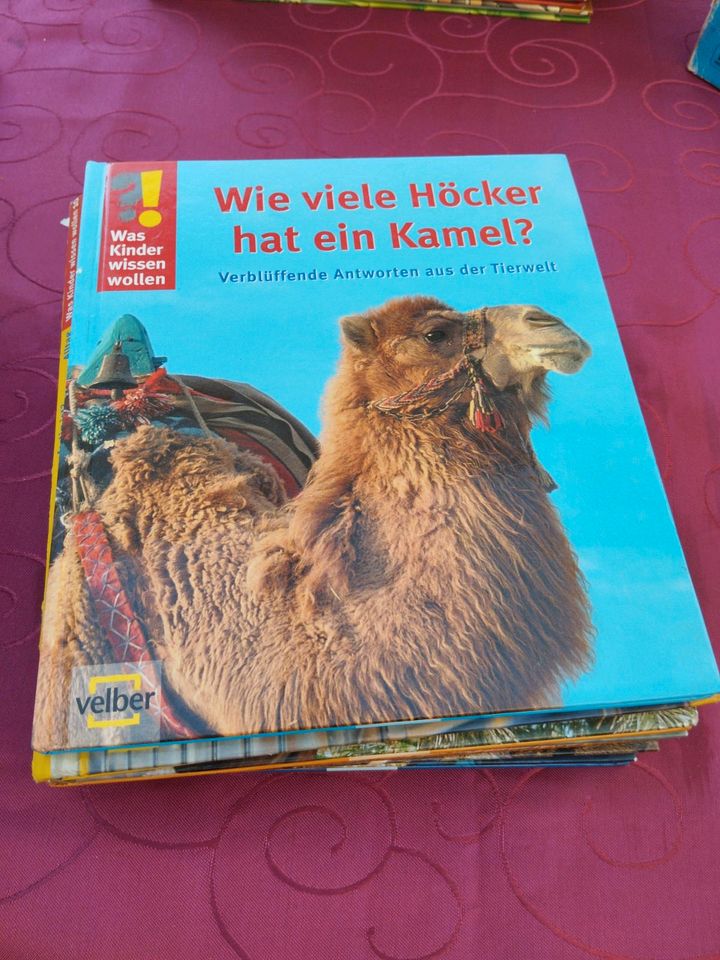 Was Kinder wissen wollen bücher in Langenhorn