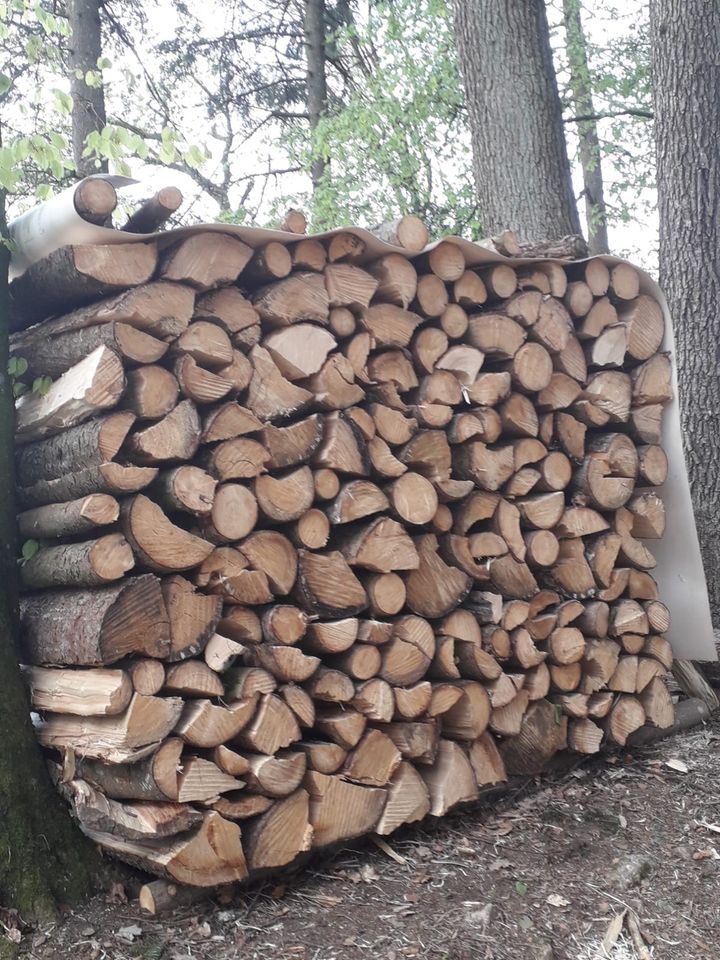 Brennholz Fichte in Nördlingen
